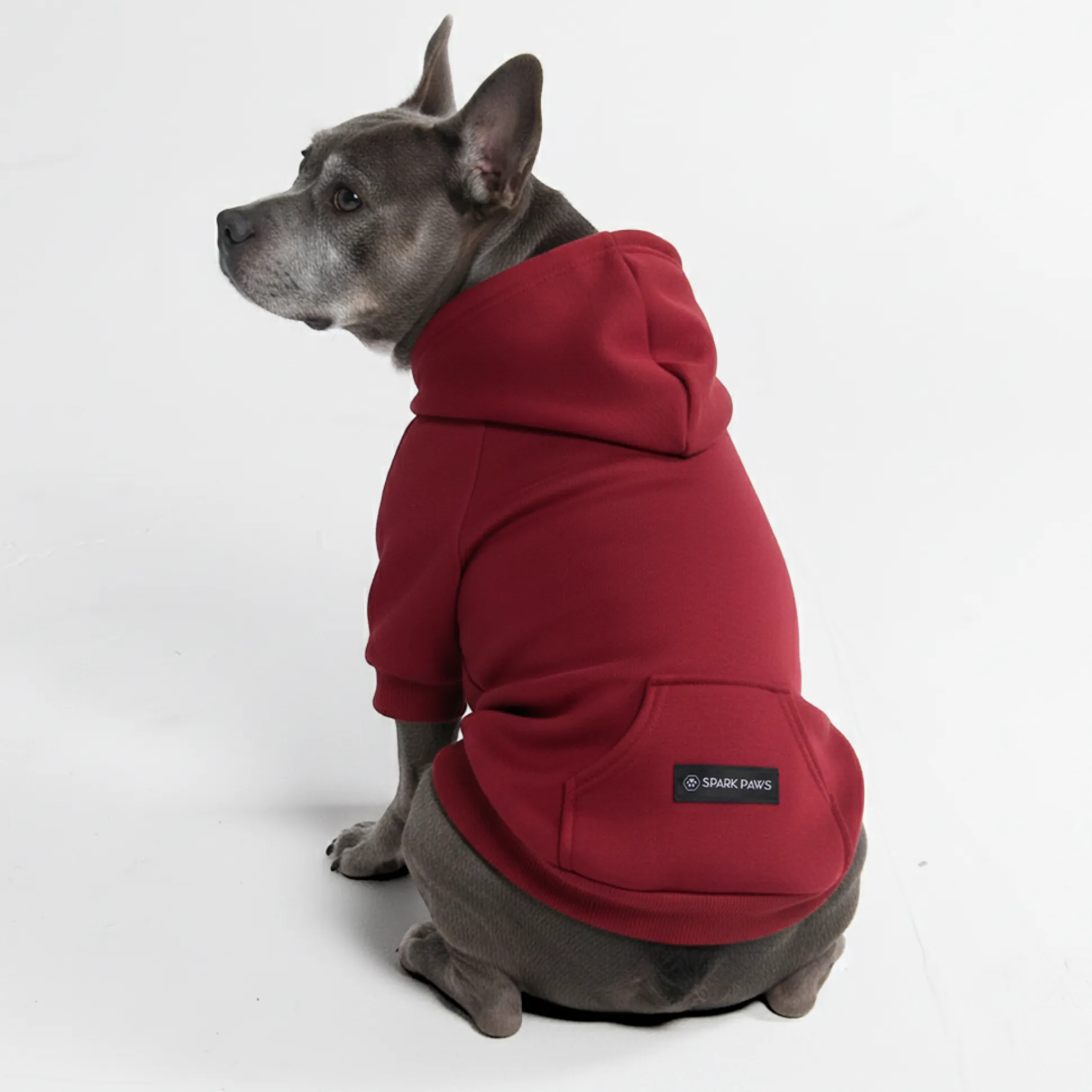 Essential Dog Hoodie - Burgundy