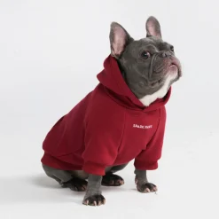 Essential Dog Hoodie - Burgundy