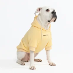 Essential Dog Hoodie - Buttercream