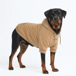 Essential Dog Hoodie - Caramel