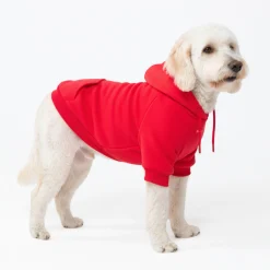 Essential Dog Hoodie - Crimson Red