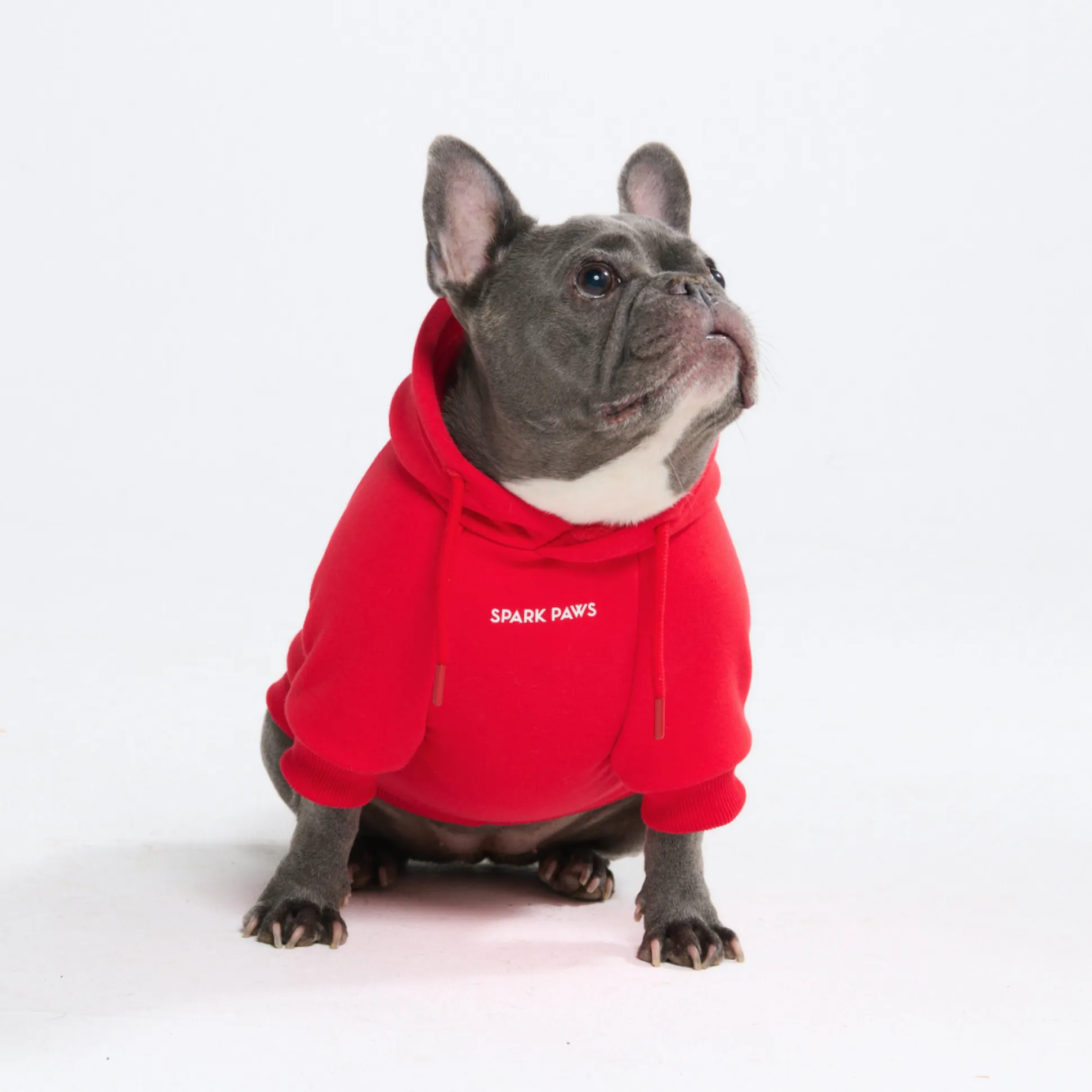 Essential Dog Hoodie - Crimson Red