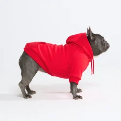 Essential Dog Hoodie - Crimson Red