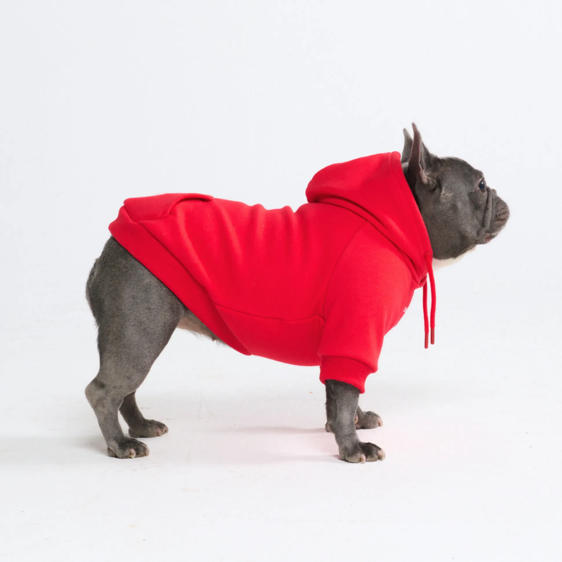Essential Dog Hoodie - Crimson Red