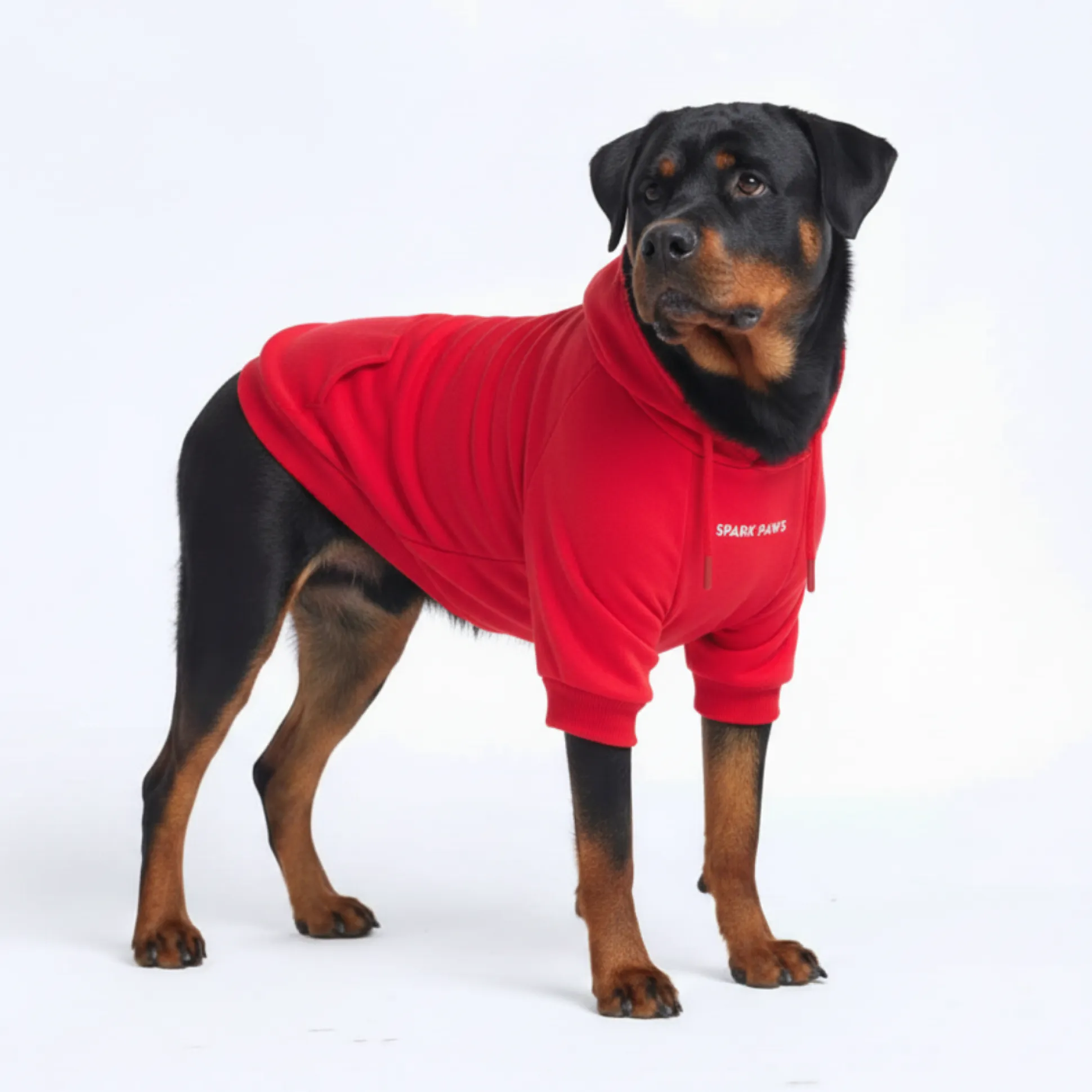 Essential Dog Hoodie - Crimson Red