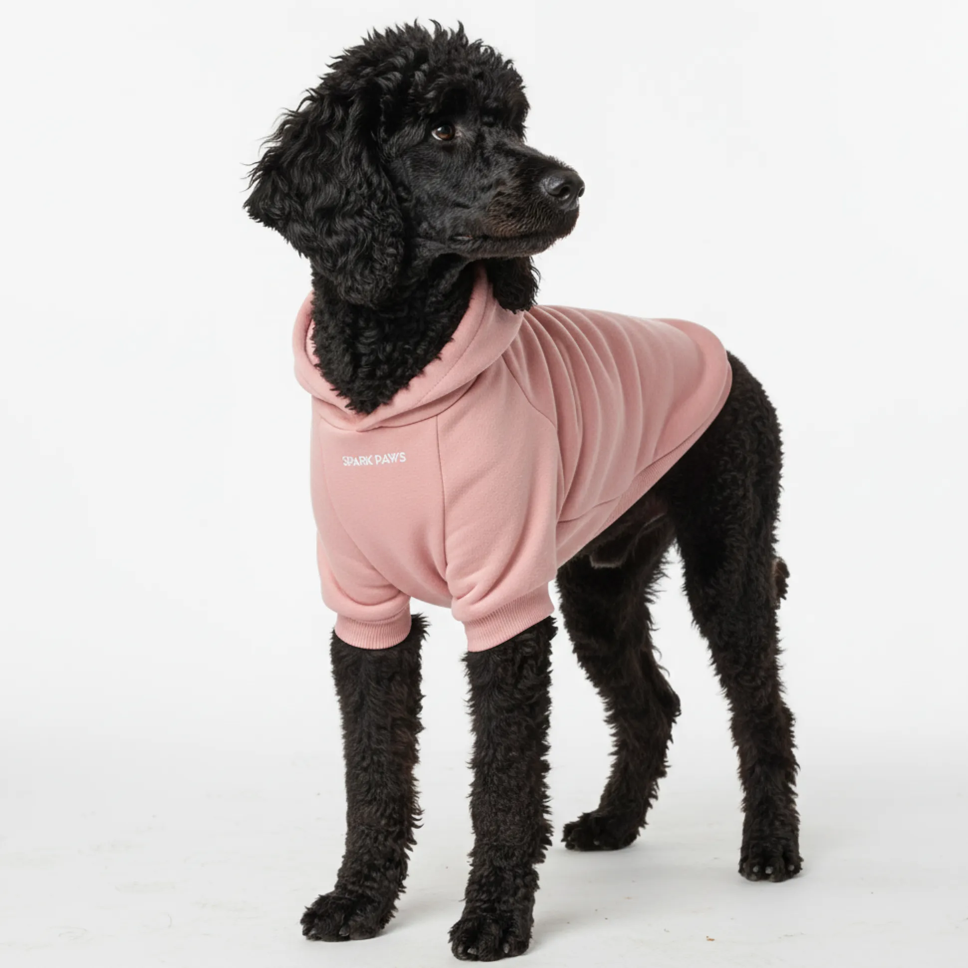 Essential Dog Hoodie - Dusty Pink