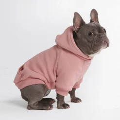 Essential Dog Hoodie - Dusty Pink