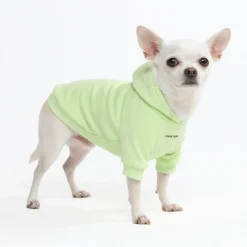 Essential Dog Hoodie - Honey Dew