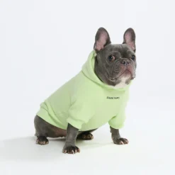 Essential Dog Hoodie - Honey Dew