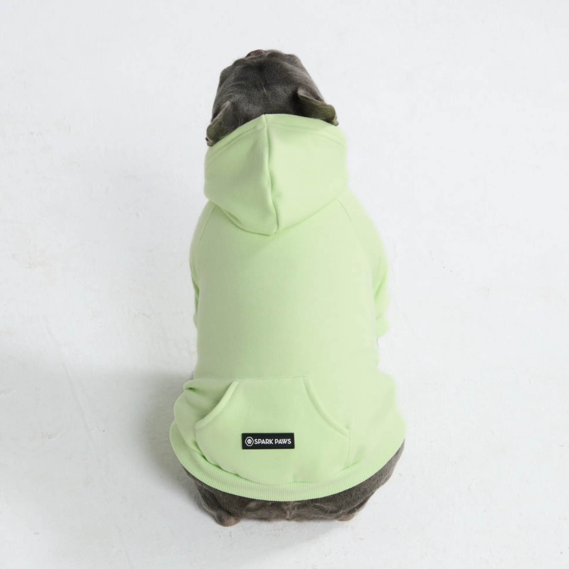 Essential Dog Hoodie - Honey Dew