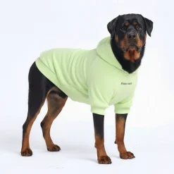 Essential Dog Hoodie - Honey Dew