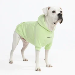 Essential Dog Hoodie - Honey Dew