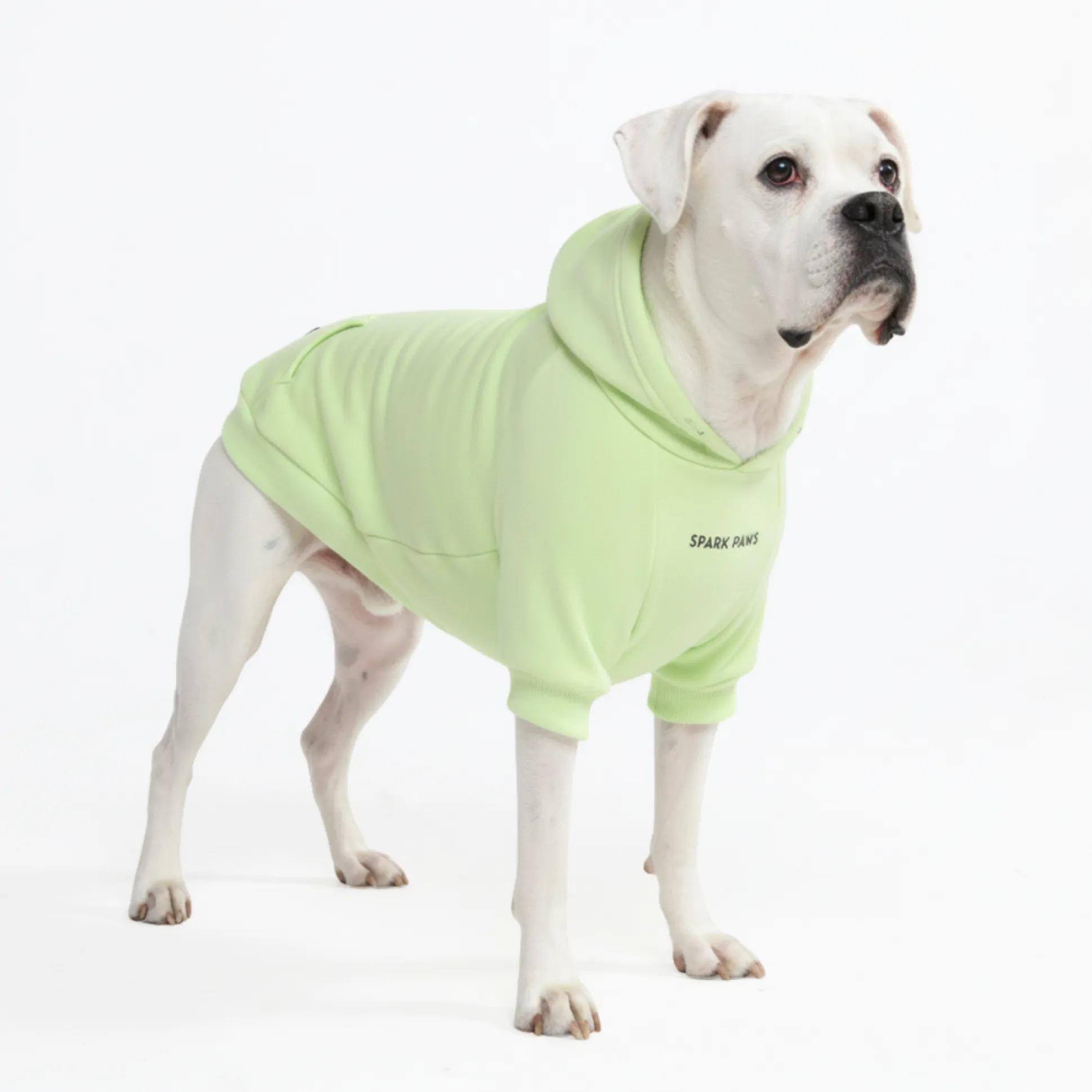 Essential Dog Hoodie - Honey Dew