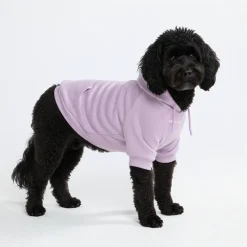 Essential Dog Hoodie - Lavender