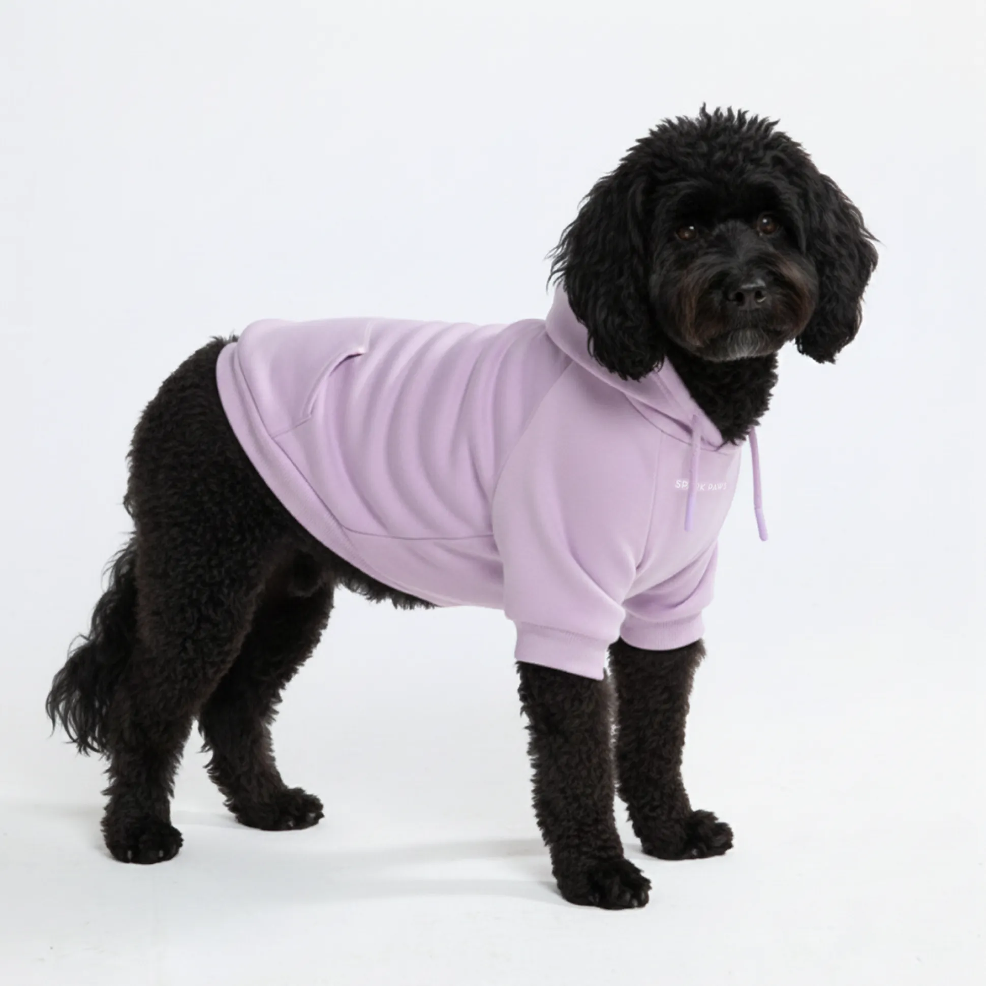 Essential Dog Hoodie - Lavender