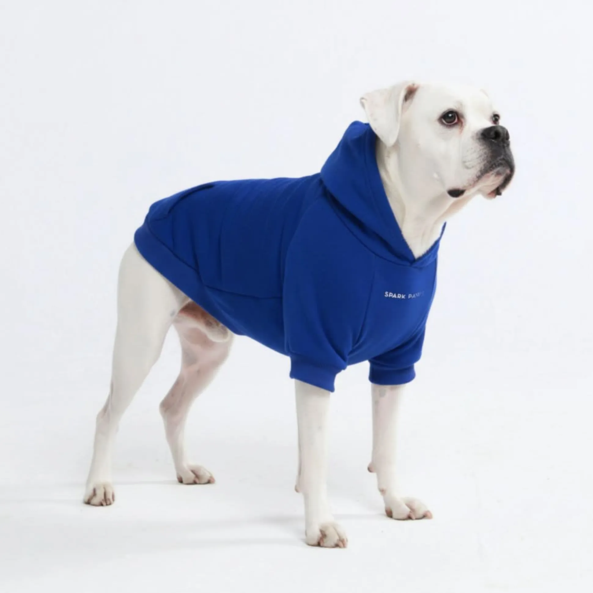 Essential Dog Hoodie - Midnight Blue