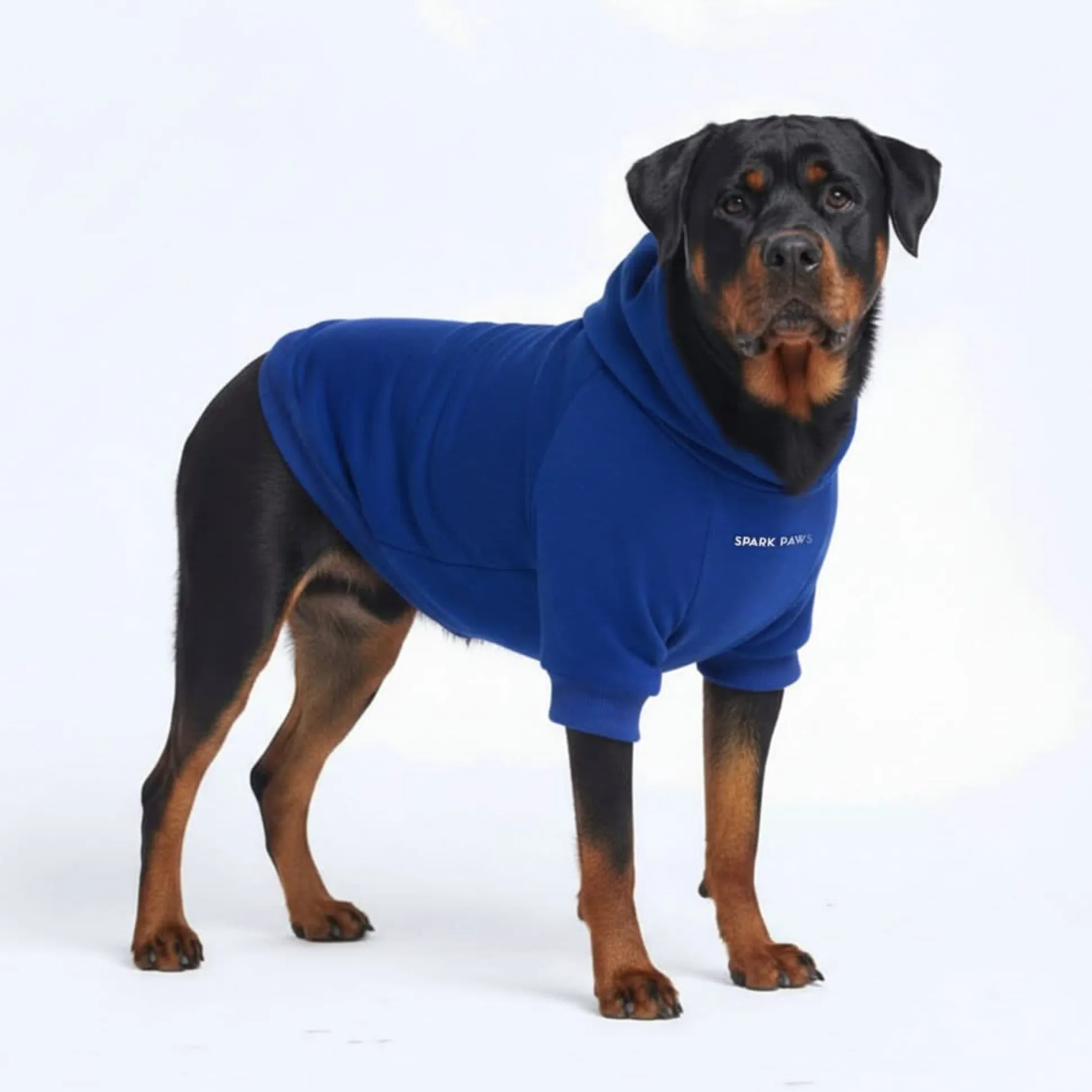 Essential Dog Hoodie - Midnight Blue