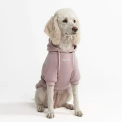 Essential Dog Hoodie - Purple Taupe