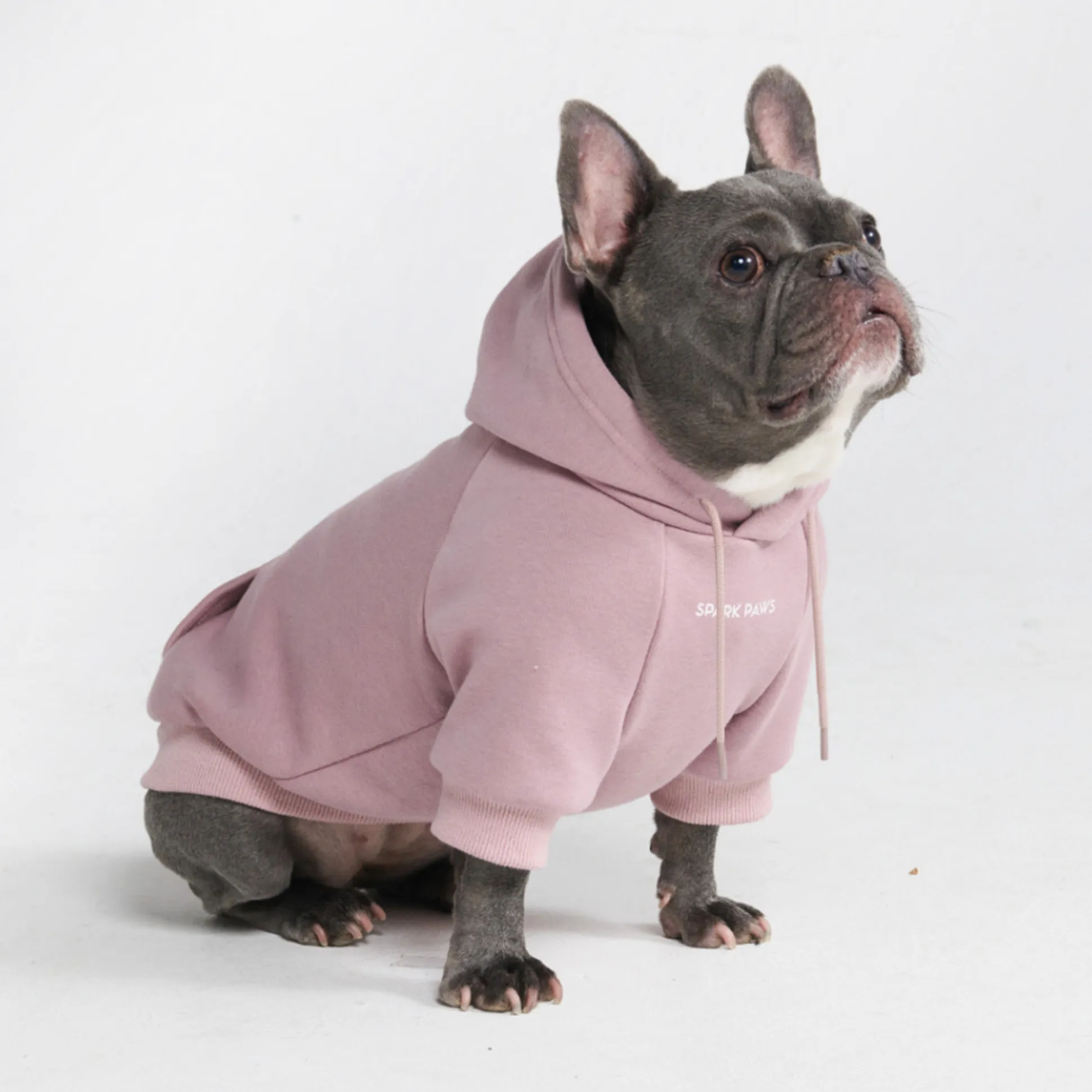 Essential Dog Hoodie - Purple Taupe
