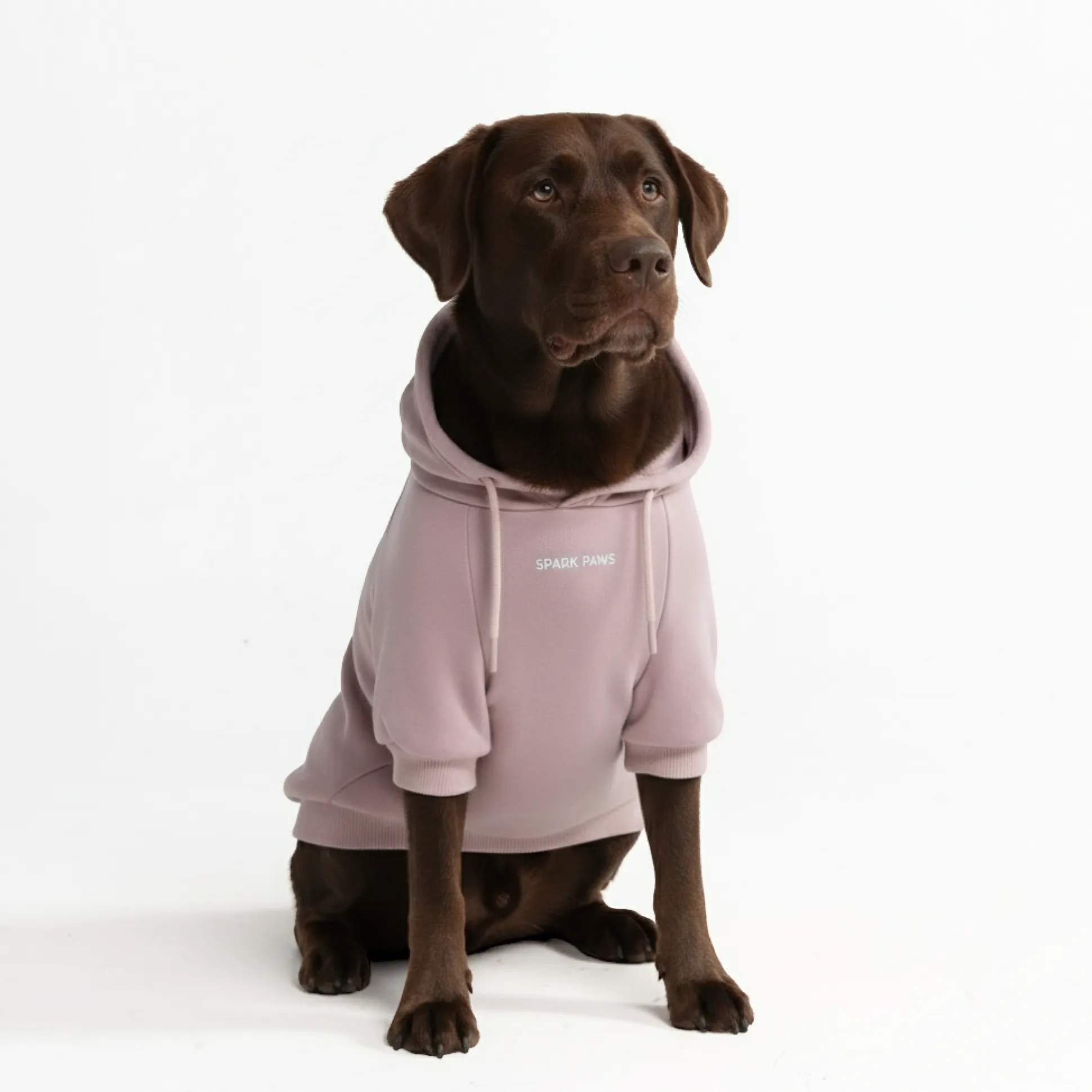Essential Dog Hoodie - Purple Taupe