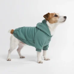 Essential Dog Hoodie - Teal