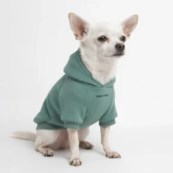 Essential Dog Hoodie - Teal