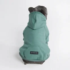 Essential Dog Hoodie - Teal