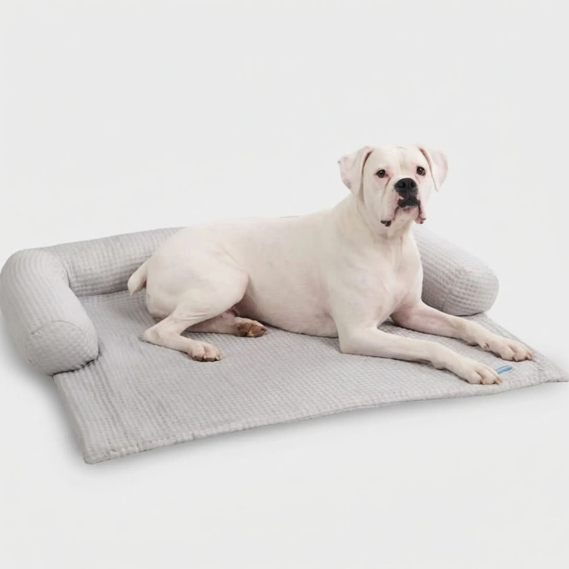 Frostcore™ Cooling Couch Cover Dog Bed