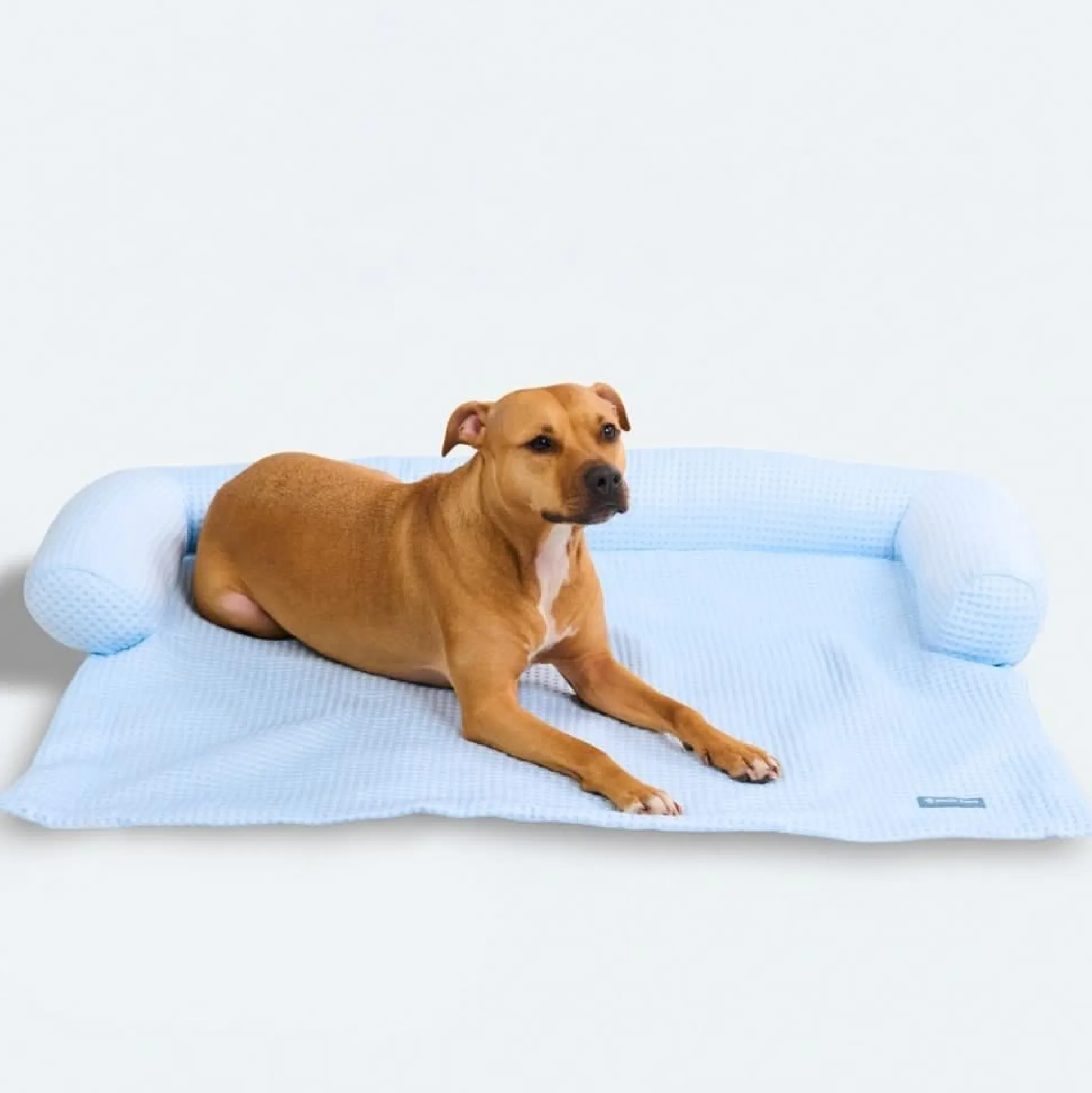 Frostcore™ Cooling Couch Cover Dog Bed