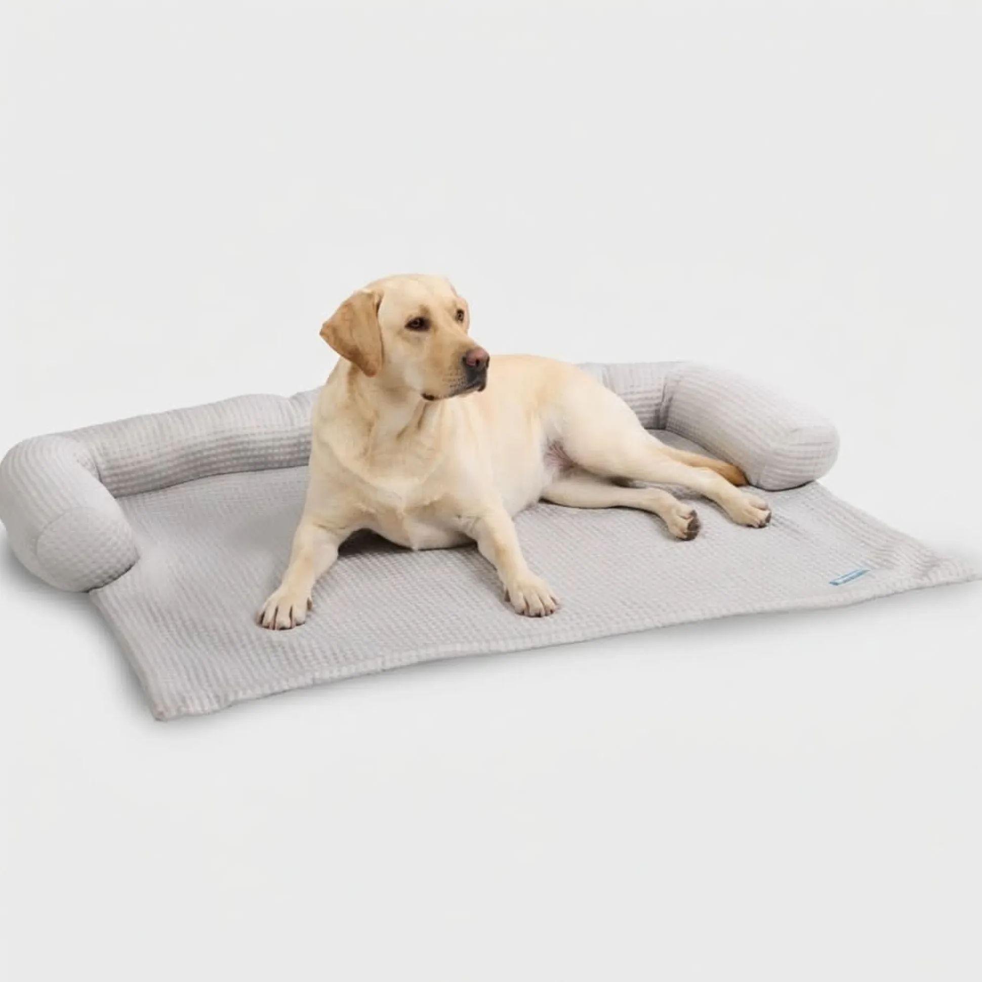Frostcore™ Cooling Couch Cover Dog Bed