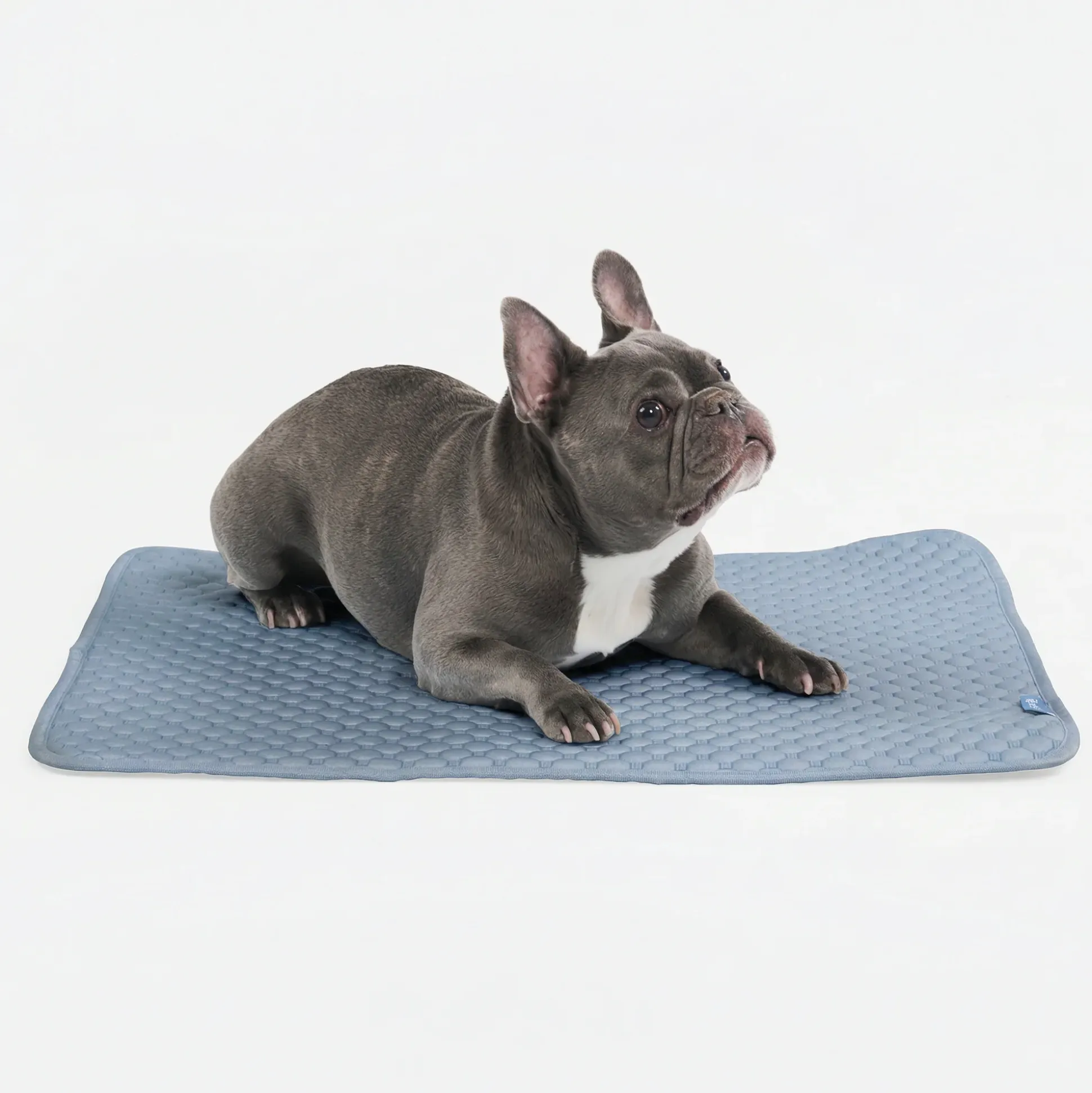 Frostcore™ Cooling Mat - Ash Blue