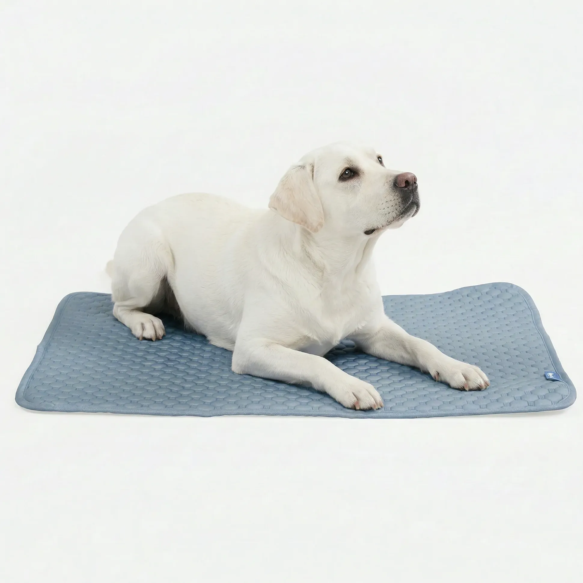 Frostcore™ Cooling Mat - Ash Blue