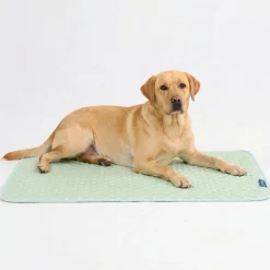 Frostcore™ Cooling Mat - Orb Green