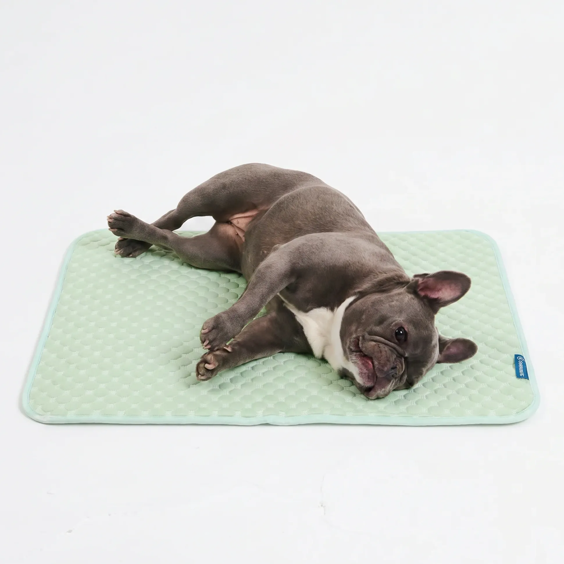 Frostcore™ Cooling Mat - Orb Green