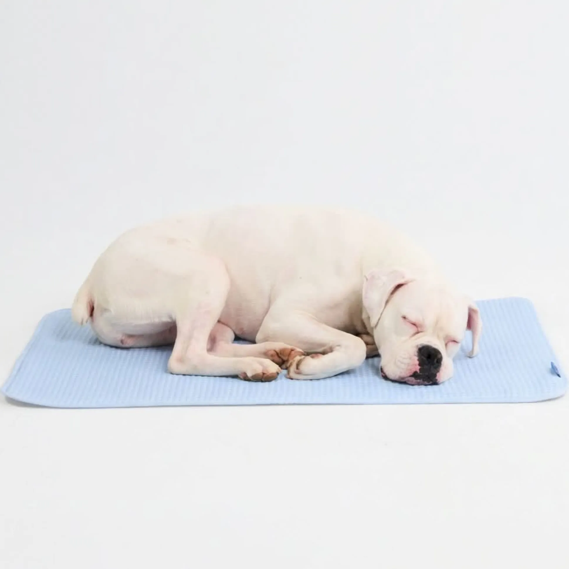 Frostcore™ Cooling Mat - Waffle Blue