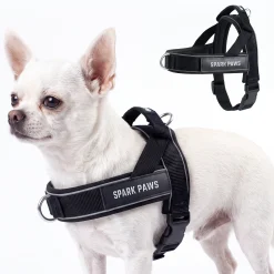 Grab & Go Harness - Black