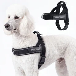 Grab & Go Harness - Black