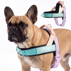 Grab & Go Harness - Cyber Punk