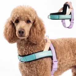 Grab & Go Harness - Cyber Punk