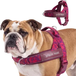 Grab & Go Harness - Fuchsia Camo