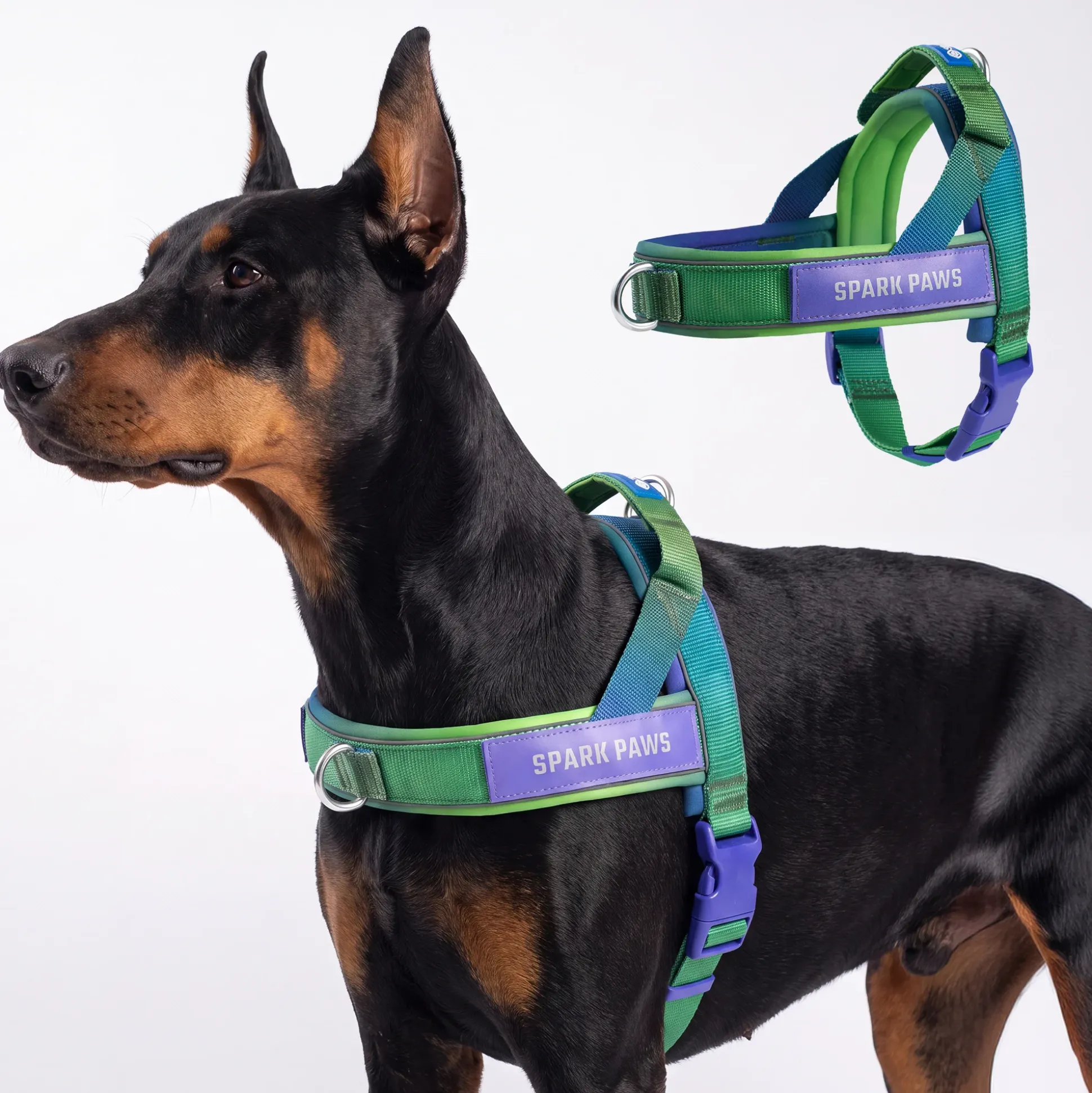 Grab & Go Harness - Lime Wave