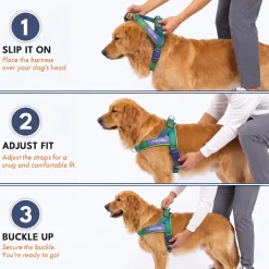 Grab & Go Harness - Lime Wave