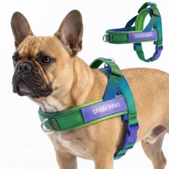 Grab & Go Harness - Lime Wave