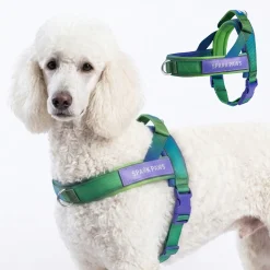 Grab & Go Harness - Lime Wave