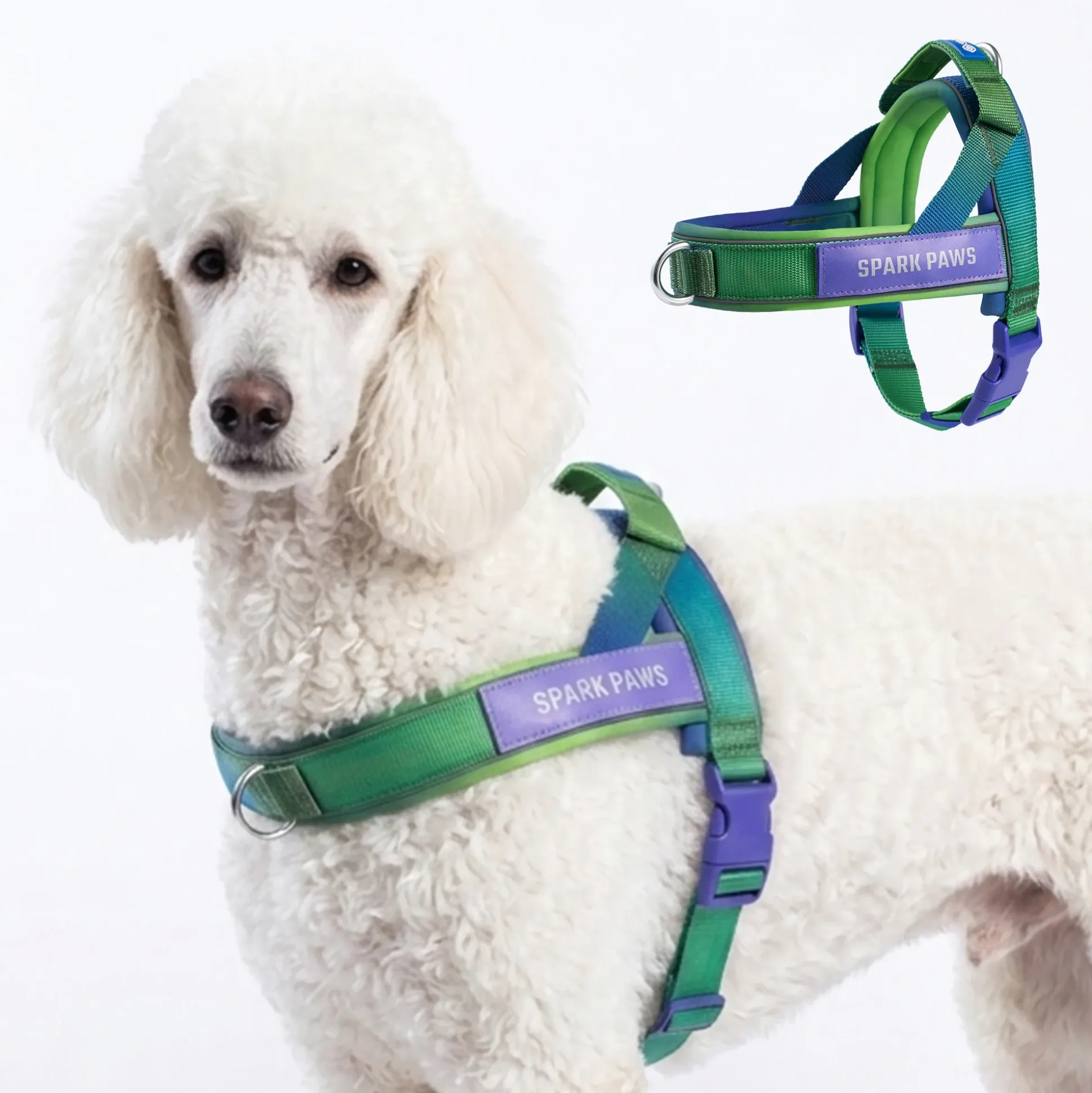 Grab & Go Harness - Lime Wave