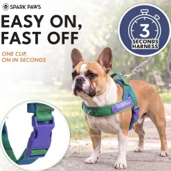 Grab & Go Harness - Lime Wave
