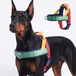 Grab & Go Harness - Primary