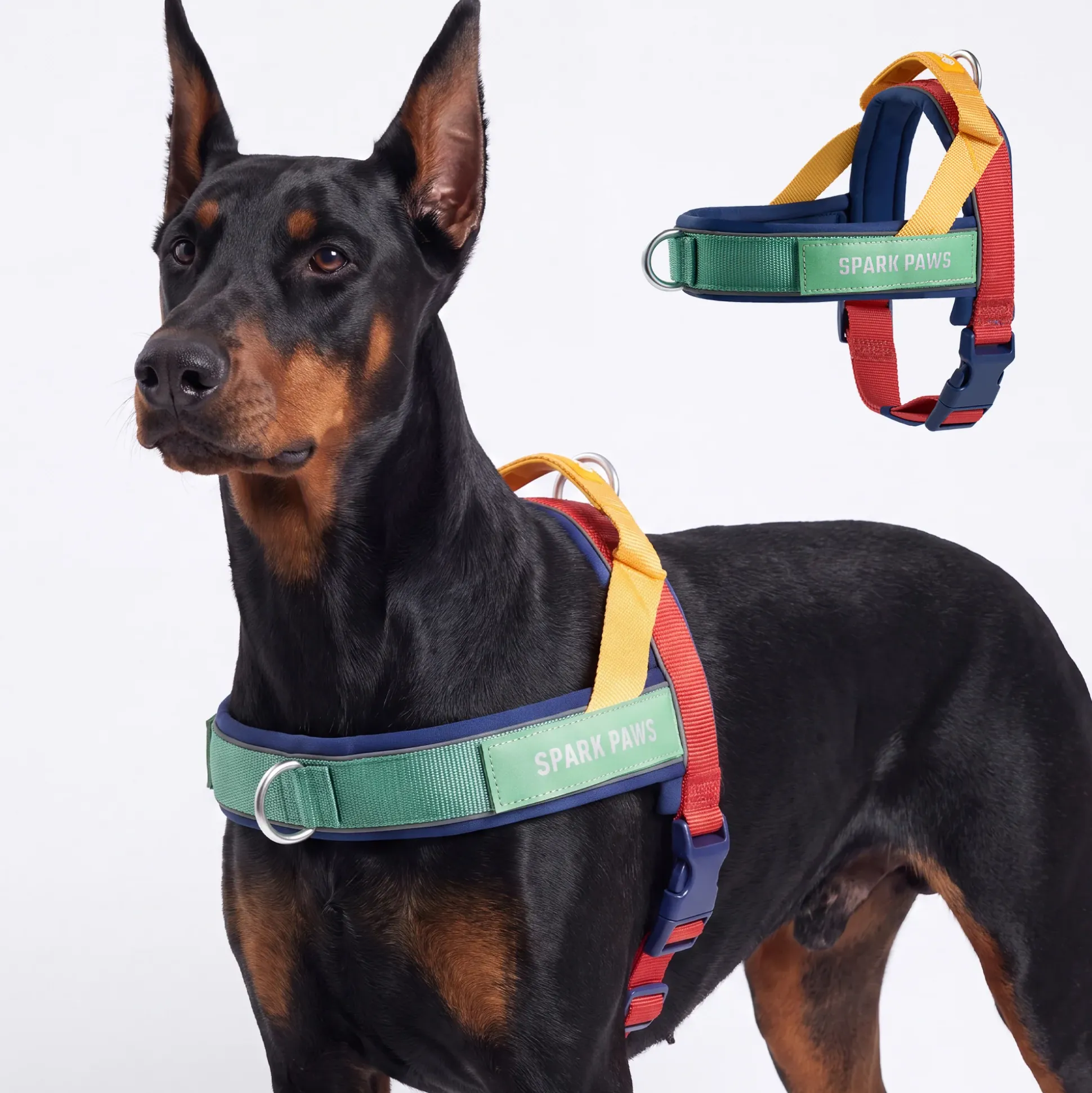 Grab & Go Harness - Primary