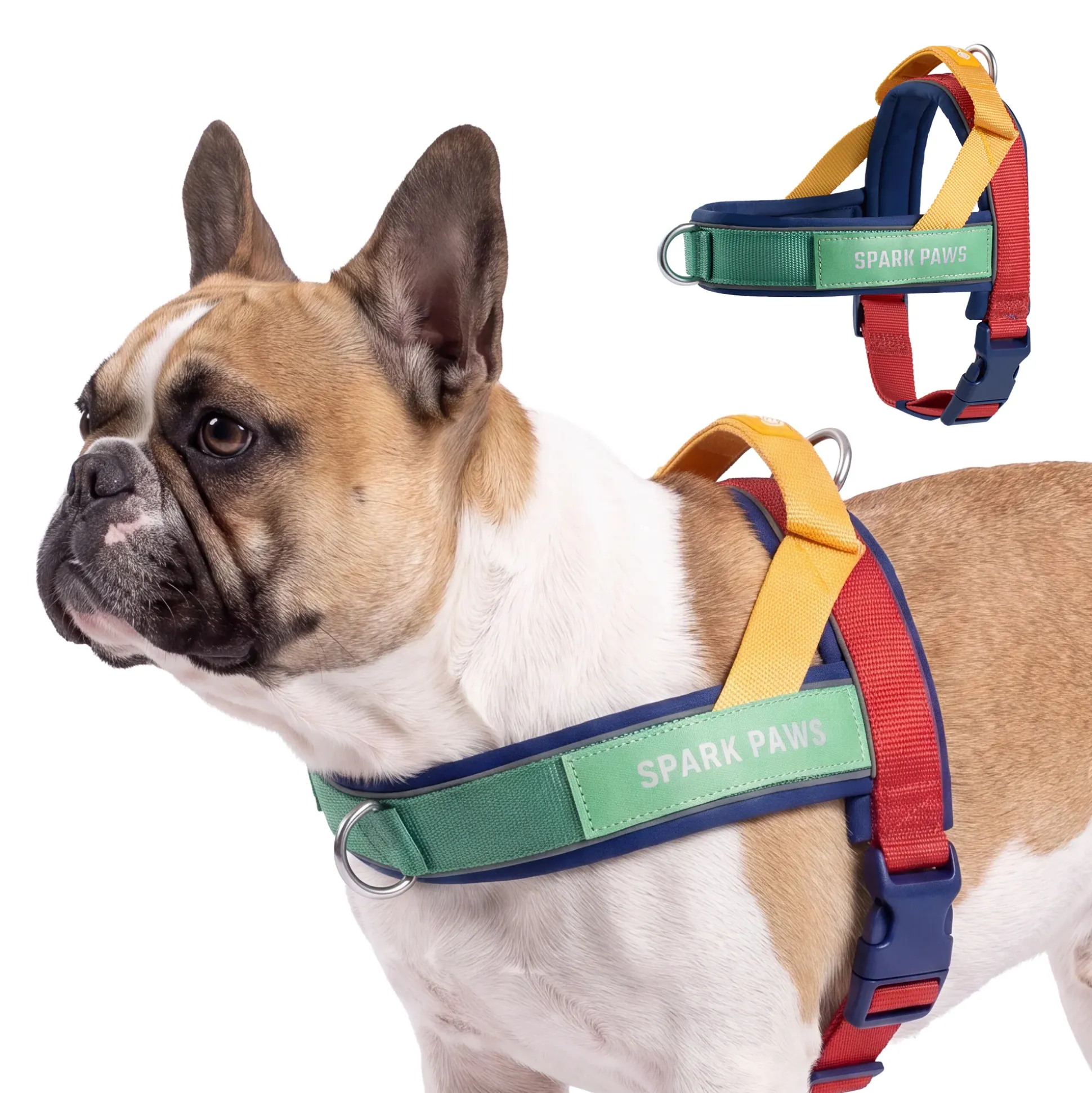 Grab & Go Harness - Primary
