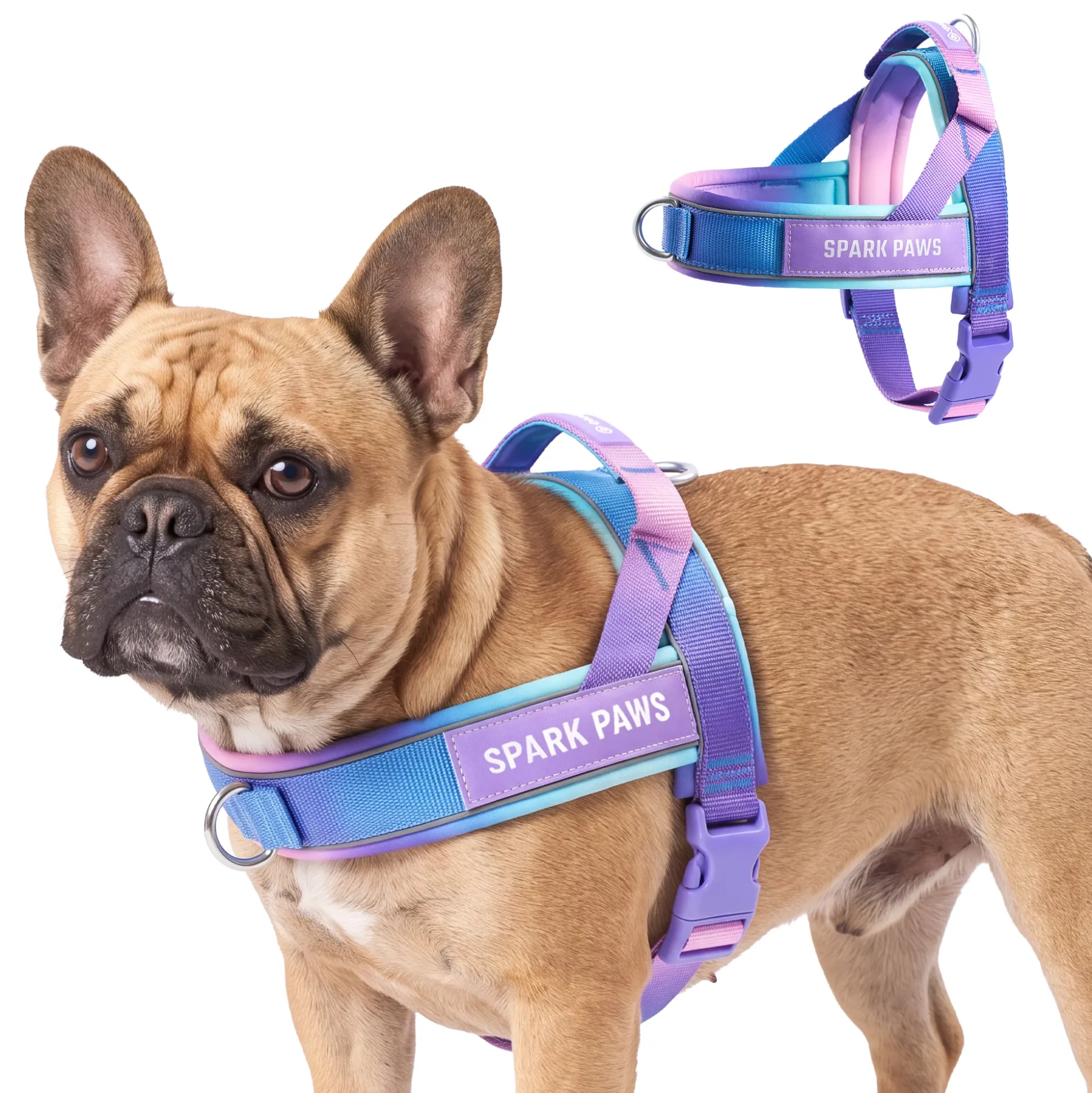 Grab & Go Harness - 90s Retro